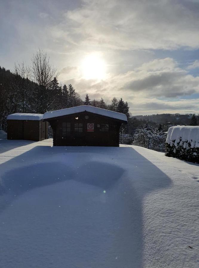 Blue Pension Svoboda nad Úpou Extérieur photo