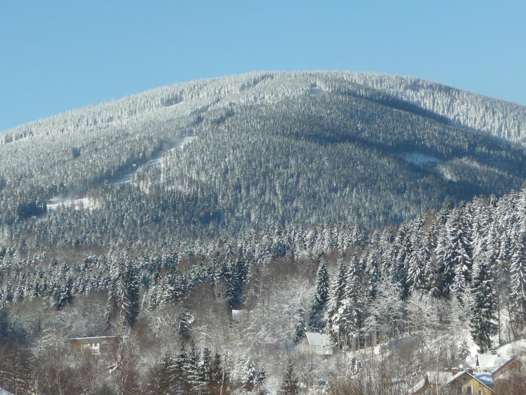 Blue Pension Svoboda nad Úpou Extérieur photo