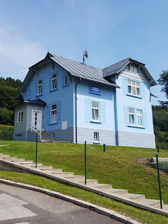 Blue Pension Svoboda nad Úpou Extérieur photo