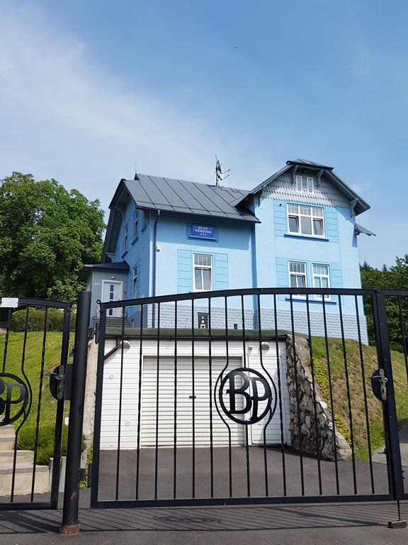 Blue Pension Svoboda nad Úpou Extérieur photo