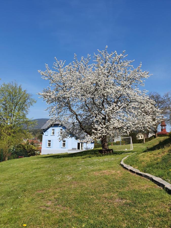 Blue Pension Svoboda nad Úpou Extérieur photo
